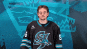 San Jose No GIF by San Jose Barracuda