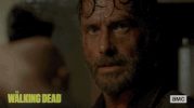twd GIF by The Walking Dead