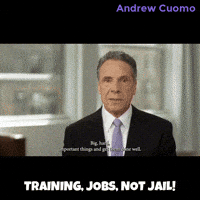 New York Vote GIF by Andrew Cuomo
