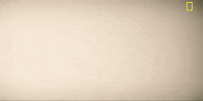season 1 episode 6 GIF by National Geographic Channel
