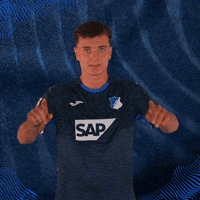 Sport Bundesliga GIF by TSG Hoffenheim