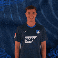 Sport Bundesliga GIF by TSG Hoffenheim
