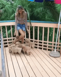 GIF by Demic