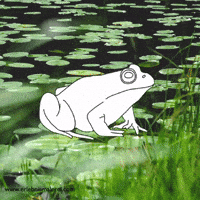Lily Pads Summer GIF by ErlebnisMalerei