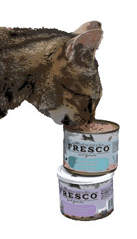 FrescoDog frescodog frescofood frescodogfood Sticker
