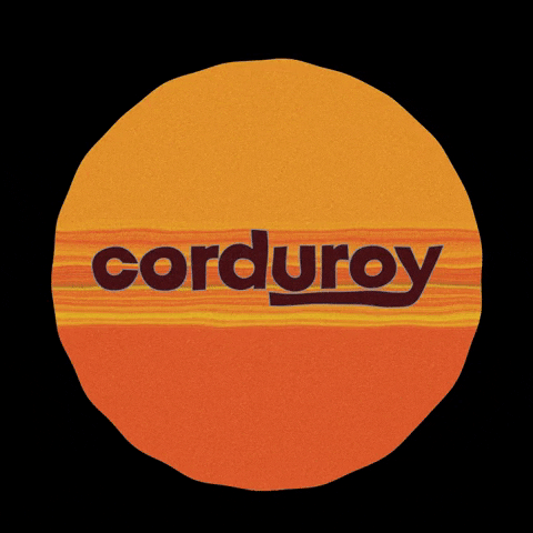 Corduroy GIF by VÅRØ Records