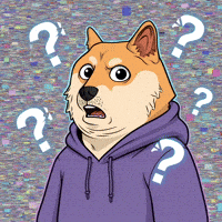 Shiba Inu What GIF by Doge Pound