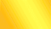 carl's jr. GIF by ADWEEK