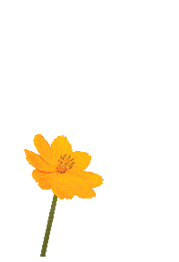 Flower Grow Sticker by Apply