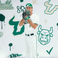 South Florida Baseball GIF by USF Athletics