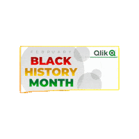 Black History Month Data Analytics Sticker by Qlik