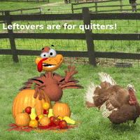 Happy Fun GIF
