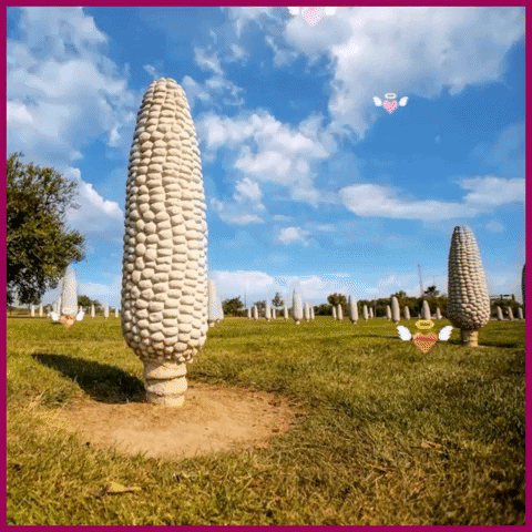 Roadside Attractions Valentine GIF by Silly America