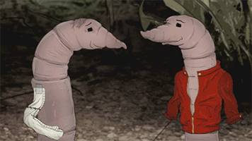mark duplass cats GIF by Animals