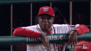 GIF by MLB