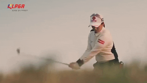 majorworld giphygifmaker GIF