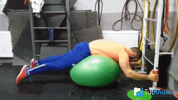 bodybuilding-and-fitness giphyupload fitbol giperekstenziya GIF
