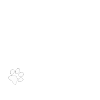 Paws Pawprints Sticker by Barbara