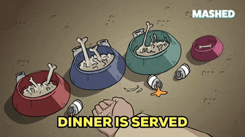 Hungry Dog Food GIF by Mashed