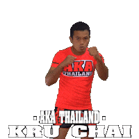 Muay Thai Fight Sticker by AKA Thailand