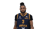 Basketball Hoops Sticker by Basket_fi