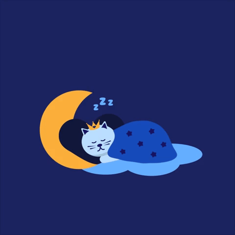 A Cat's Purrfect Sleep