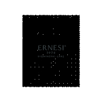 Ernesi1978 ernesi 1978 Sticker