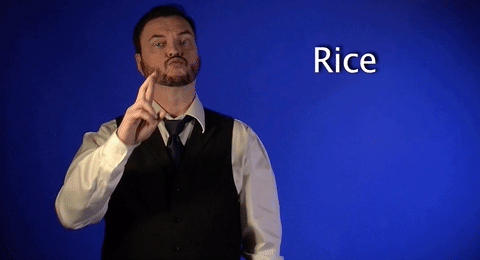 sign language rice GIF by Sign with Robert