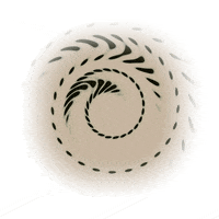 Good Morning Art GIF by Orla in Berlin