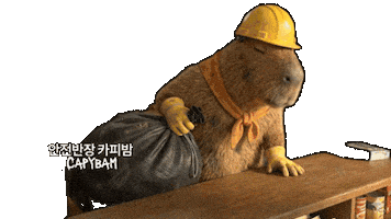 Korea Dumping Sticker