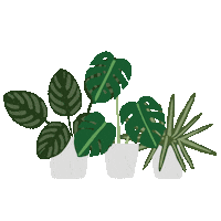 Plant Life Sticker