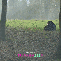 Britannia GIF by Sky