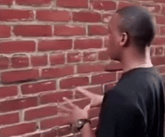 Rhyancm guy giphycreatortest wall talking to the wall GIF