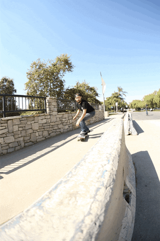 Skateboarding Cervantes GIF by Zero Skateboards