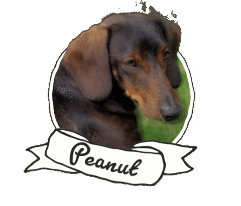 Joe Swash Smile Sticker by BBC