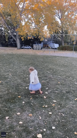 Golden Retriever Joins in With Spinning Toddler