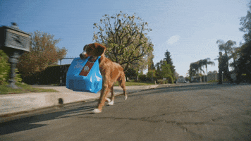 Los Angeles Drama GIF by ABC Network