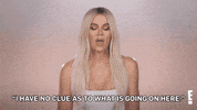 Keeping Up With The Kardashians Kardashian GIF by E!