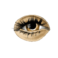 Abel Pintos Sticker by Los Ángeles Azules