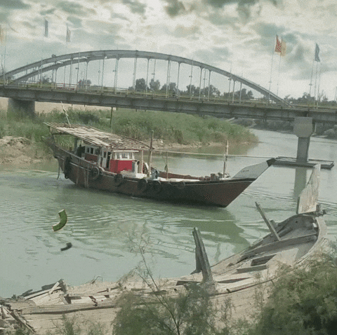 Bandar GIF