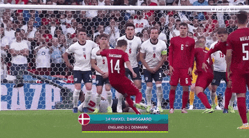 Euro Cup Football GIF by UEFA