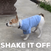 Adrien Broner Lol GIF by Blnde