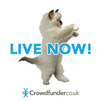 Cat Dancing Sticker by CrowdfunderUK