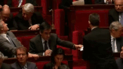 archive entourage GIF by franceinfo
