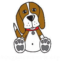 Rescue Adopt Sticker by Beagle Freedom Australia