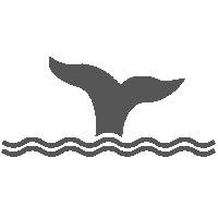 Water Usa Sticker by CANUSA
