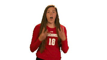 Wisconsin Volleyball Wow Sticker by Wisconsin Badgers
