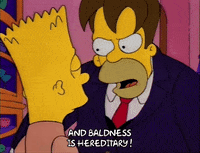 season 2 hoer simpson GIF