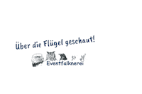 Eulen Greifvogel Sticker by Wildpark Müden