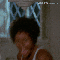 Sergio Martino Film GIF by Arrow Video